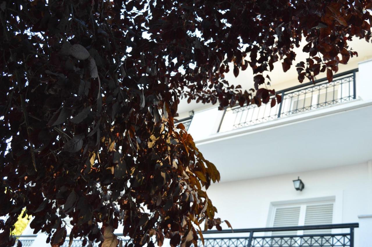 Paradise Beach Apartments Αργάσι Εξωτερικό φωτογραφία