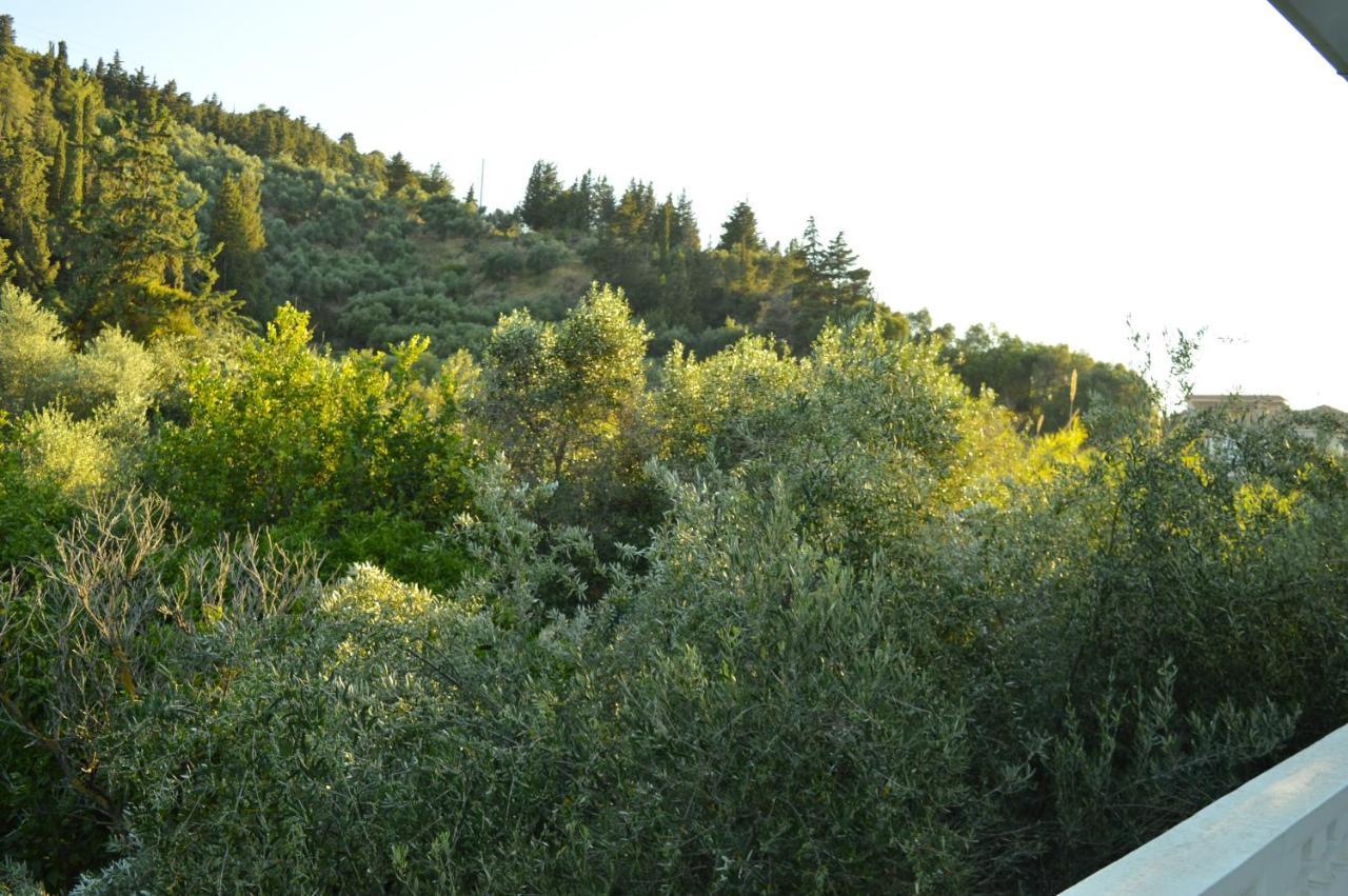 Paradise Beach Apartments Αργάσι Εξωτερικό φωτογραφία
